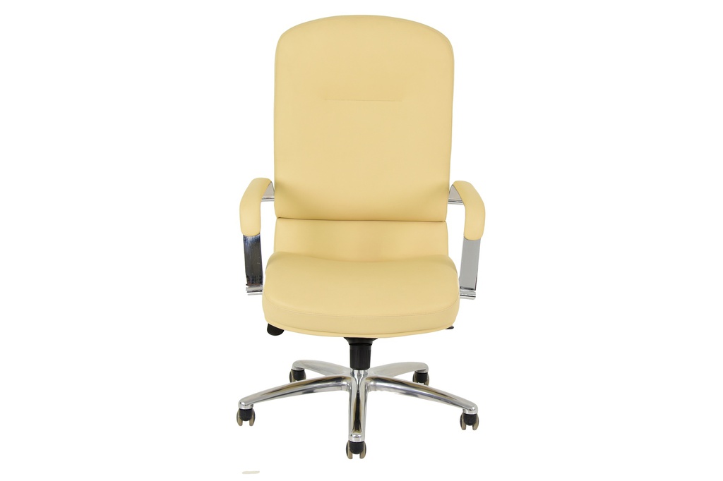 Executive Office Chair