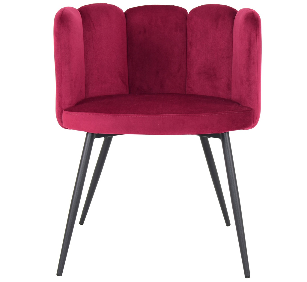 Cafe Chairs 