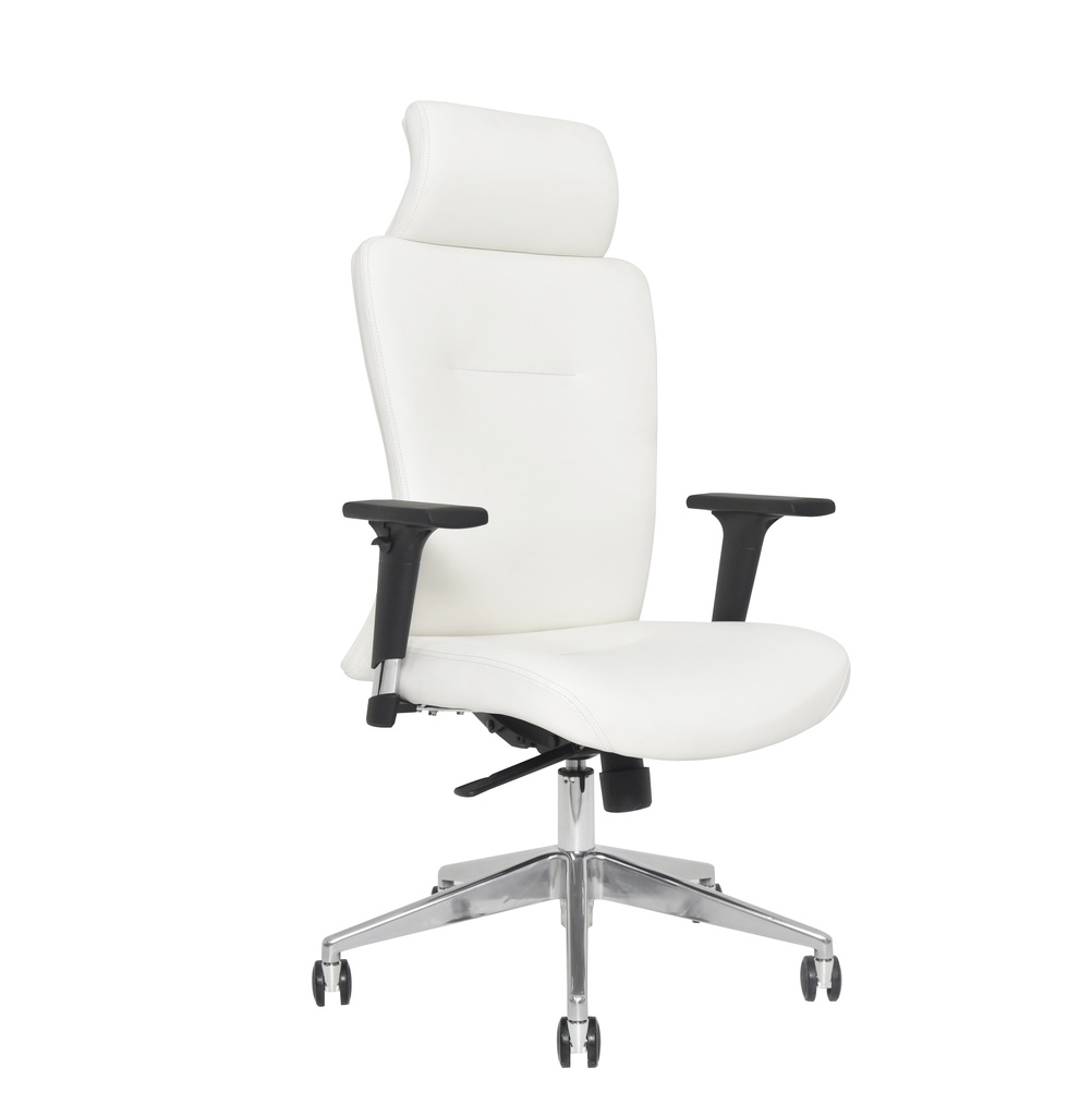 Executive Office Chair