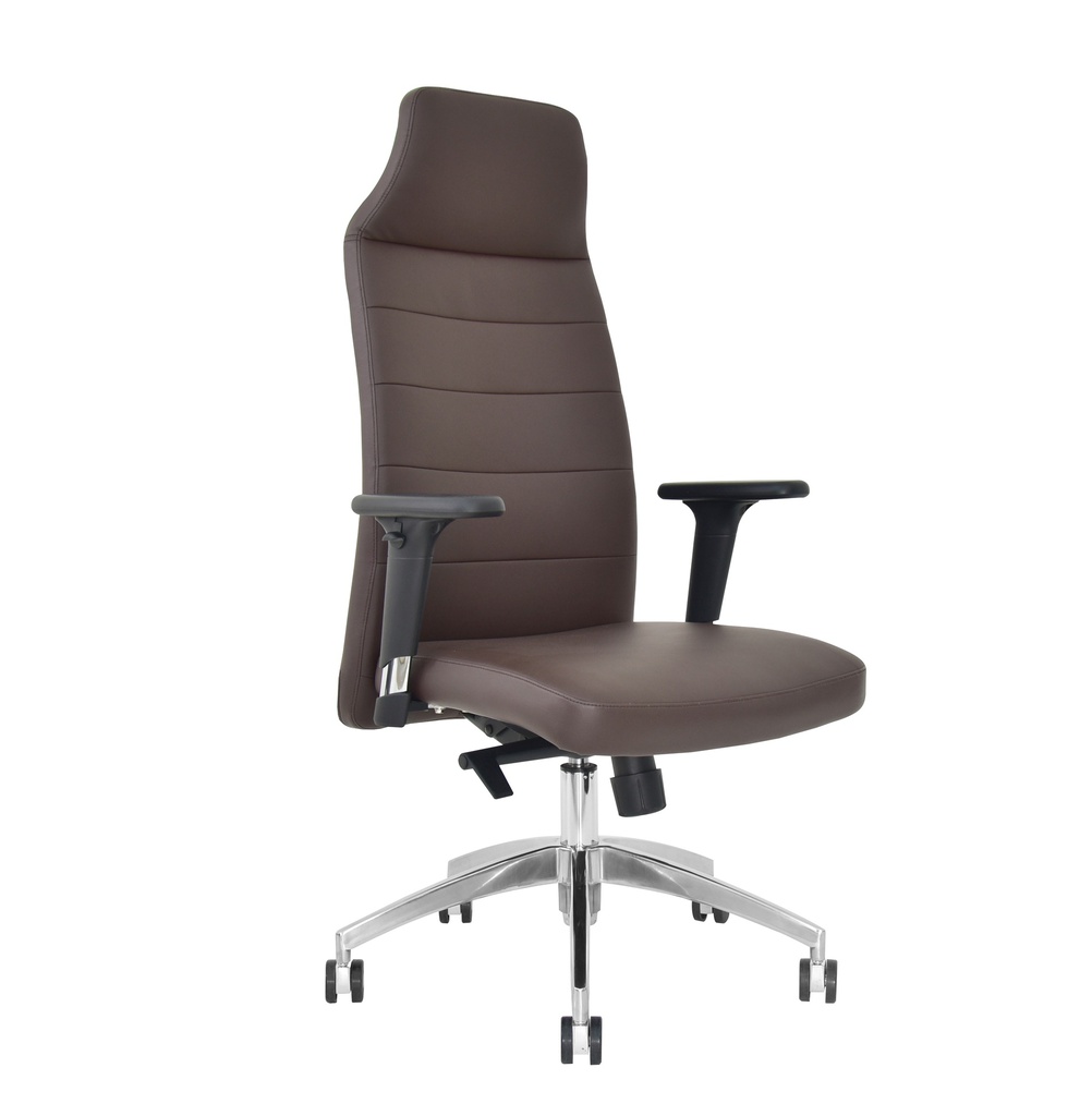 Executive Office Chair