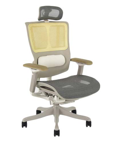 Executive Office Chair