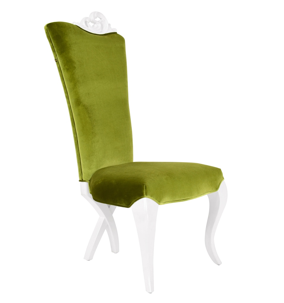 Leisure Chair