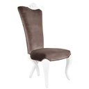 Leisure Chair