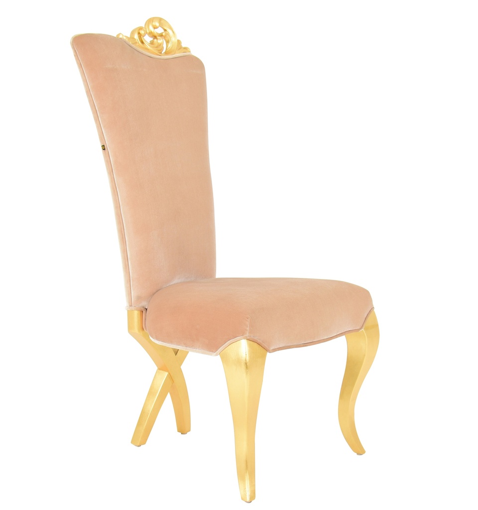 Leisure Chair