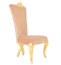 Leisure Chair