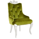 Leisure Chair