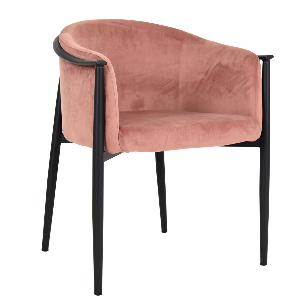 Cafe Chairs 