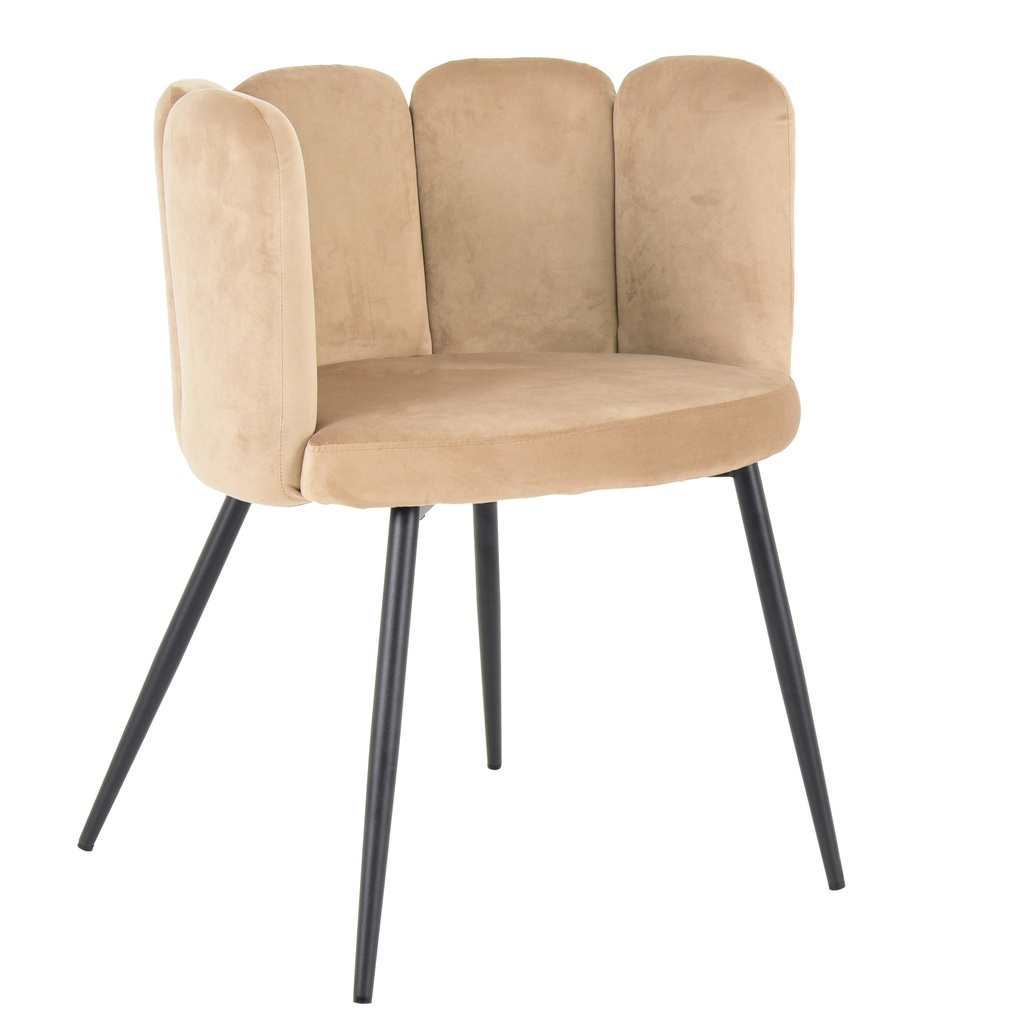 Cafe Chairs 