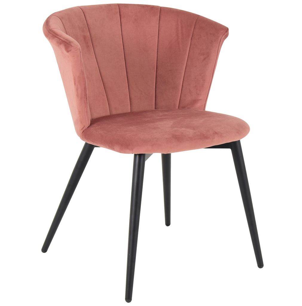 Cafe Chairs 
