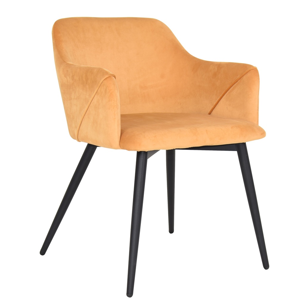 Cafe Chairs 