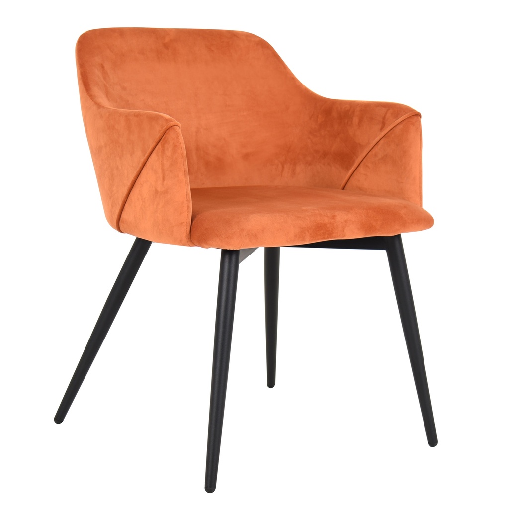 Cafe Chairs 