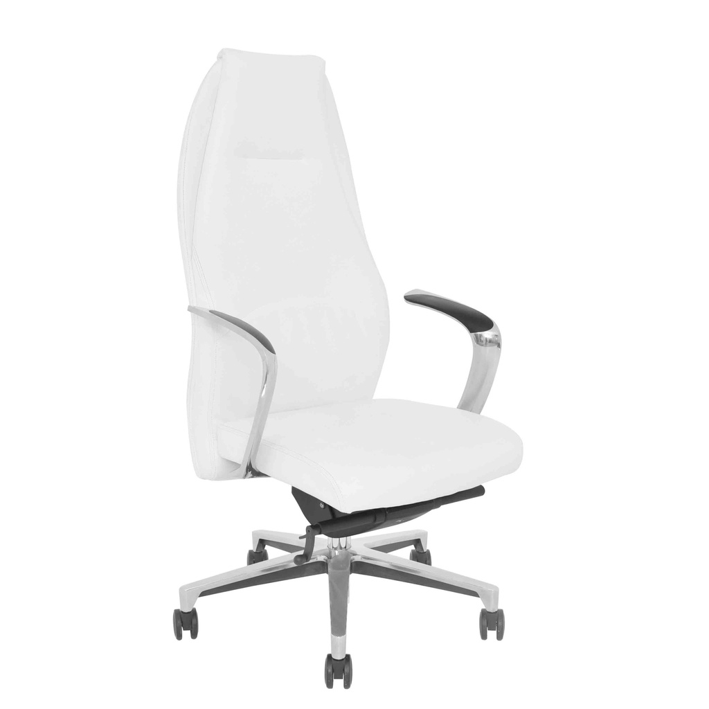 Executive Office Chair