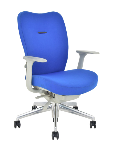 Executive Office Chair