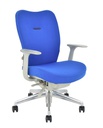 Executive Office Chair